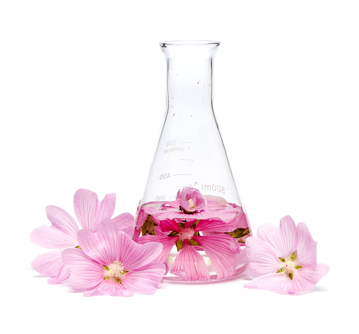 flask with pink flowers